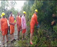 Nisarg cyclone effect in Konkan | निसर्ग चक्रीवादळा तडाखा; हरीहरेश्वर, श्रीवर्धन, दिवेआगारचा रस्ता बंद