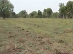 અરવલ્લીમાં ધોધમાર વરસાદથી મગના પાકને નુકસાન, જુઓ વીડિયો