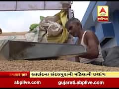 અરવલ્લીના મેઘરજમાં બારદાન ખૂટી પડતા ઘઉંની ખરીદી અટકી, જુઓ વીડિયો 