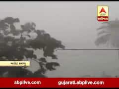 માઉન્ટ આબુમાં ભારે પવન સાથે વરસાદ વરસ્યો, અનેક સ્થળોએ વૃક્ષ થયા ધરાશાયી