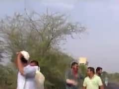 સાબરકાંઠા જિલ્લામાં તીડનું આક્રમણ, ખેતીવાડી વિભાગે દવાનો છંટકાવ કર્યો શરૂ