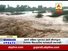 ધોધમાર વરસાદના પગલે અમરેલીની રાજુલાની જોલાપુરી નદી બે કાંઠે વહી, જુઓ વીડિયો