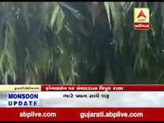 અરવલ્લીના શામળાજી, ઇસરોલ, માલપુર સહિતના વિસ્તારોમાં ભારે પવન સાથે વરસાદ, જુઓ વીડિયો 