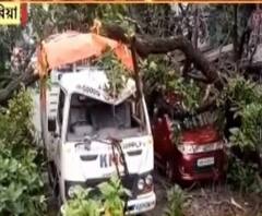 ঘূর্ণিঝড়ে আধভাঙা গাছ হঠাৎ হুড়মুড়িয়ে পড়ল মাল বোঝাই গাড়ির ওপর, প্রাণে বাঁচল আরোহী 