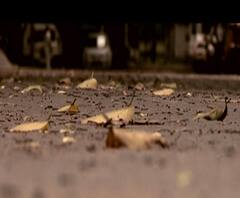 বৃহস্পতিবার থেকে রাজ্যজুড়ে বাড়বে বৃষ্টি, পূর্বাভাস আলিপুরের