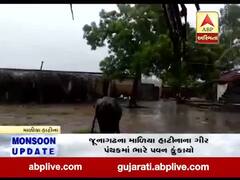 જૂનાગઢઃ ગીર પંથકના ગડુ, શાંતિપરામાં પવન સાથે વરસાદ, જુઓ વીડિયો 