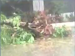  મહારાષ્ટ્રના અનેક વિસ્તારમાં નિસર્ગ વાવાઝોડાએ મચાવી તબાહી, જુઓ વીડિયો