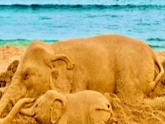 Kerala में हथिनी की मौत पर देशभर में गुस्सा, Virat Kohli से लेकर Ratan Tata ने जताई नाराजगी