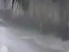 આગામી પાંચ દિવસ રાજ્યના મોટાભાગના જિલ્લાઓમાં વરસાદની આગાહી, જુઓ વીડિયો