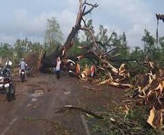 Cyclone Nisarga | मुंबई-गोवा महामार्गावर झाडं पडल्याने गोरेगाव-महाड रस्ता बंद