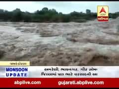 રાજકોટઃ જામકંડોરણા પંથકમાં બે ઇંચથી વધુ વરસાદ વરસ્યો, ખેડૂતોમાં ખુશીની લહેર