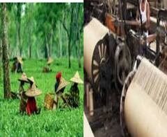 ‘অন্যায় করেছি’, গাড়িতে মাস্ক ভুলে স্বীকারোক্তি আইটি কর্মীর, চা বাগানে মাস্ক পরেই কাজে শ্রমিকরা 