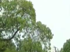 રાજકોટ શહેરમાં વહેલી સવારથી વાદળછાયુ વાતાવરણ, જુઓ વીડિયો