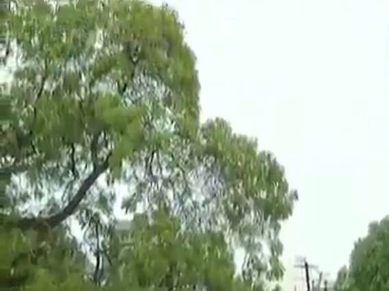 રાજકોટ શહેરમાં વહેલી સવારથી વાદળછાયુ વાતાવરણ, જુઓ વીડિયો