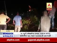  દાહોદમાં મોડી રાત્રે ભારે પવન સાથે વરસાદ, ચાકલિયા રોડ પર વૃક્ષ ધરાશાયી, જુઓ વીડિયો 
