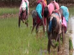 Boon for farmers: Agricultural marketing reforms gets nod from centre