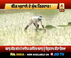 ਕਿਵੇਂ ਉਦੜੀਆਂ ਬੀਜ ਘੁਟਾਲੇ ਦੀਆਂ ਪਰਤਾਂ ?