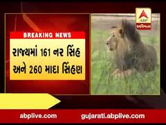 ગાંધીનગરઃ રાજ્યમાં સિંહોની સંખ્યામાં 28.27 ટકાનો વધારો, જુઓ વીડિયો 