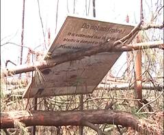 Nisarga Cyclone Effect | रत्नागिरीला 'निसर्ग'चा तडाखा, अनेकांचा संसार उघड्यावर