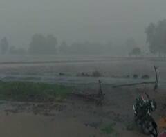 माझा जिल्हा माझा पाऊस | राज्यभरातील गावांमधून पावसाचे अपडेट्स | गावाकडच्या बातम्यांचा आढावा