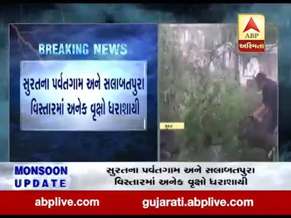 સુરતના પર્વતગામ અને સલાબતપુરા વિસ્તારમાં અનેક વૃક્ષ ધરાશાયી, જુઓ વીડિયો