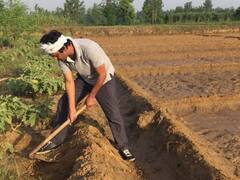 Nawazuddin Siddiqui works in the field like a farmer, shares video
