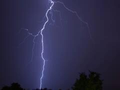 Bihar में बिजली गिरने से 13 लोगों की मौत, 6 जख्मी