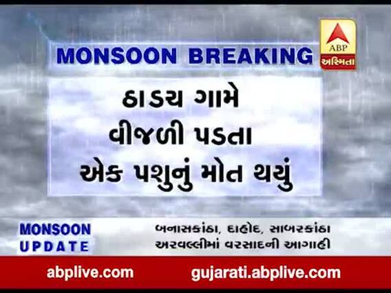 ભાવનગર: પાલીતાણાના ઠાડ્ય ગામે વીજળી પડતા એક પશુનું મોત, જુઓ વીડિયો 