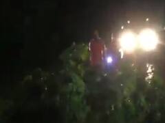  ભારે વરસાદના કારણે નવસારી-જલાલપોરને જોડતા મુખ્ય માર્ગ પર વૃક્ષ ધરાશાયી થયું , જુઓ વીડિયો