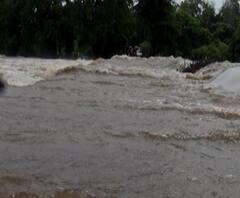 Rural News | माझं गाव माझा पाऊस | जिल्ह्याजिल्ह्यातील पावसाचे अपडेट एका क्लिकवर