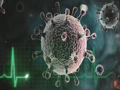 Lucknow: High court employee tests coronavirus positive 