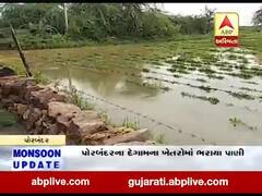 પોરબંદરના રાણાવાવમાં ધોધમાર વરસાદ, જુઓ વીડિયો