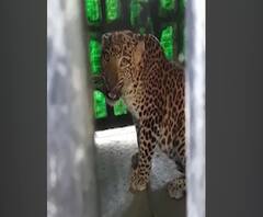 VIDEO | राजस्थानमधील काँग्रेस सरकारसमोरील पेच कायम? | बातम्यांचं अर्धशतक | ABP Majha