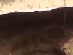 બનાસકાંઠાઃ વાવ તાલુકાના માલવન માઇનોર કેનાલમાં ગાબડુ પડતા ખેડૂતોને નુકસાન