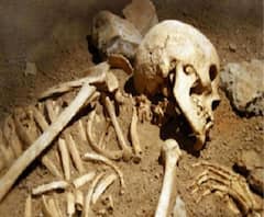 শিলিগুড়িতে নিরাপত্তারক্ষীর বাড়ি থেকে উদ্ধার হাড়-খুলি! উধাও যুবক 