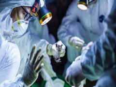 Covid-19: US reports 50,000 new cases, total over 3 million