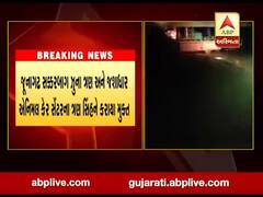 જૂનાગઢ વન વિભાગે છ સિંહોને જંગલમાં મુક્ત કર્યા, જુઓ વીડિયો 