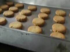 Maharashtra के Palghar में महसूस किए गए भूकंप के झटके | Namaste Bharat (24 07 2020)