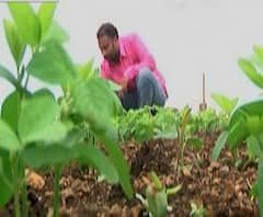 Farmers News | शेती जगत | राज्यातील कानाकोपऱ्यातून शेती जगताच्या बातम्या 