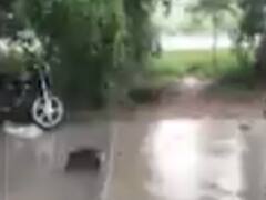 અરવલ્લીઃ ભિલોડા, મેઘરજ અને ધનસુરામાં અડધો ઇંચ વરસાદ, જુઓ વીડિયો