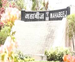 Mahabeej | 'बियाणे न उगवायला केवळ बियाणांना दोष का द्यायचा?', महाबीज संघटनेच्या उलट्या बोंबा