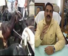 Naseem Khan on Bakri Eid | बकरी ईदच्या मुद्द्यावरून सरकार शांत बसून तमाशा पाहतयं : नसीम खान