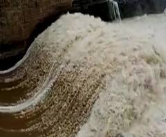 Rural News | माझं गाव माझा जिल्हा | राज्याच्या कानाकोपऱ्यातील बातम्यांचा आढावा | ABP Majha