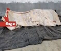 বীরভূমের খয়রাশোলে তৃণমূল কর্মীর গুলিবিদ্ধ মৃতদেহ উদ্ধার! 'খুনের' কারণ নিয়ে তৃণমূল-বিজেপি চাপানউতোর 