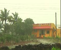 Ratnagiri Rain | रत्नागिरी जिल्ह्यात सर्वदूर पाऊस; नदी, नाल्यांच्या पाणी पातळीत वाढ