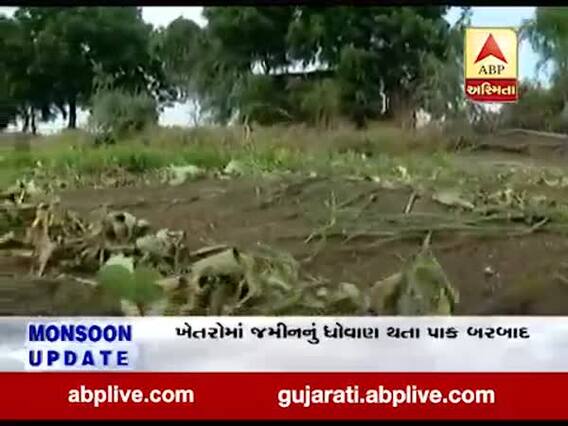 જામનગરના ધ્રોલના સોયલ ગામમાં વરસાદના કારણે ખેતરોમાં જમીનનું ધોવાણ થતા પાક બરબાદ 