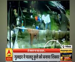 Uttrakhand Prime: नैनीताल में घर में घुसा गुलदार, कुत्ते को बनाया शिकार | ABP Ganga 