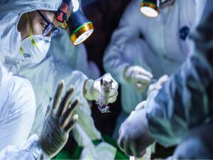 Britain reopens amusement parks for public | Panchnama