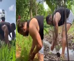 Salman Khan | जेव्हा दबंग सलमान खान भात लावणी करतो; व्हिडीओ व्हायरल