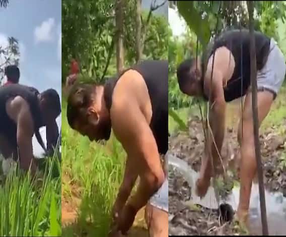 Salman Khan | जेव्हा दबंग सलमान खान भात लावणी करतो; व्हिडीओ व्हायरल